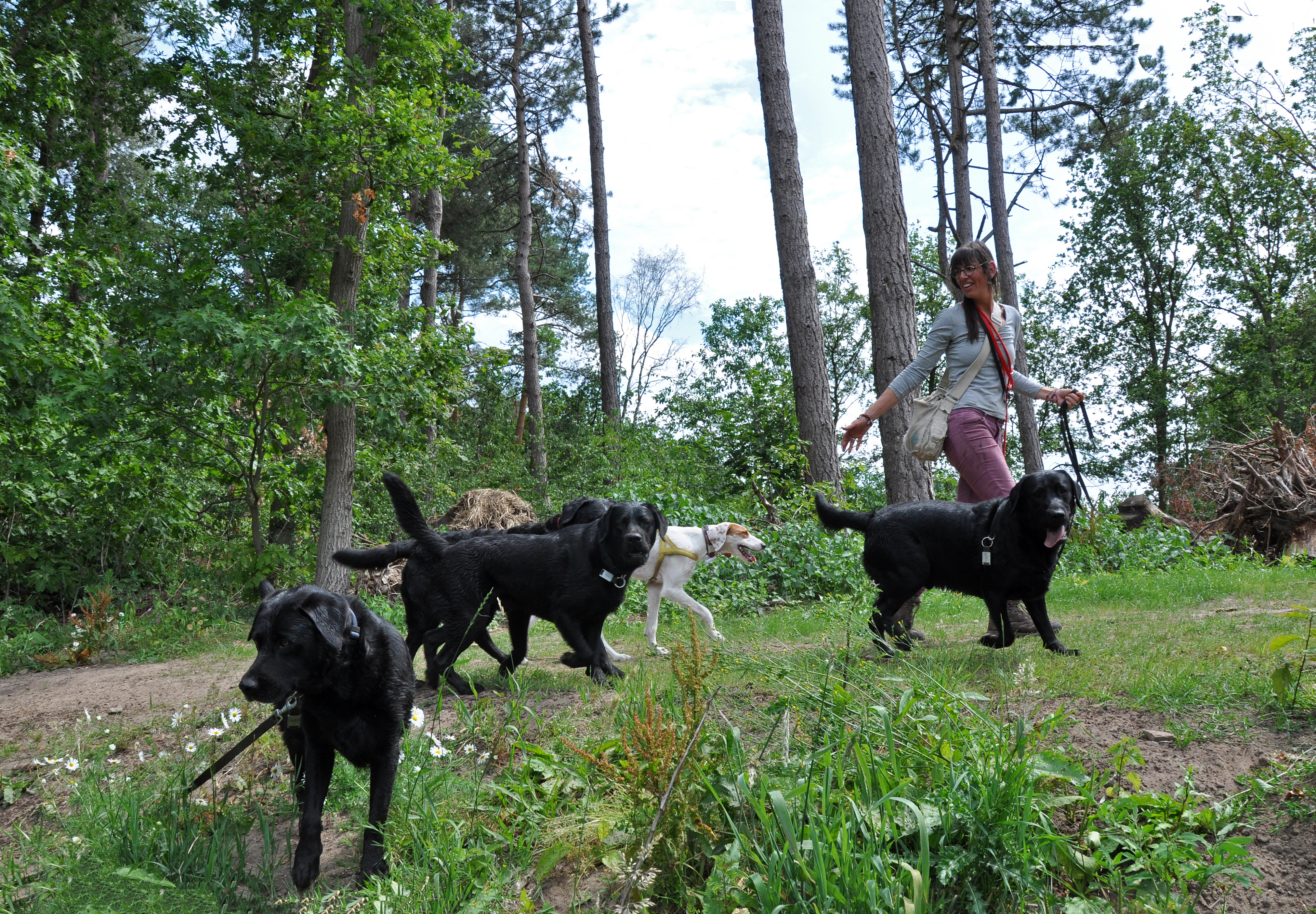 Zen Dogs - Pascalle met honden op pad - werkwijze