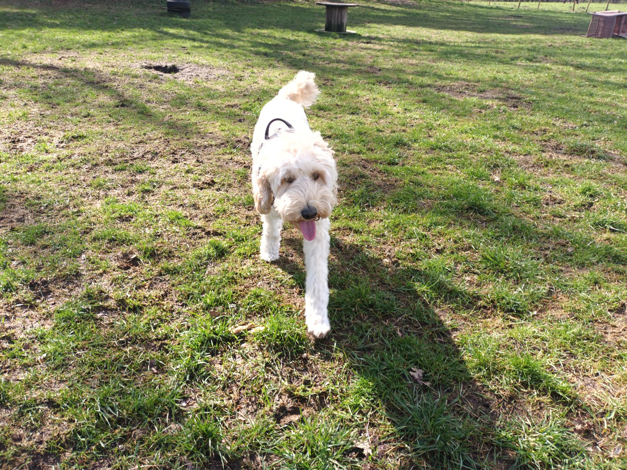 Bobbie