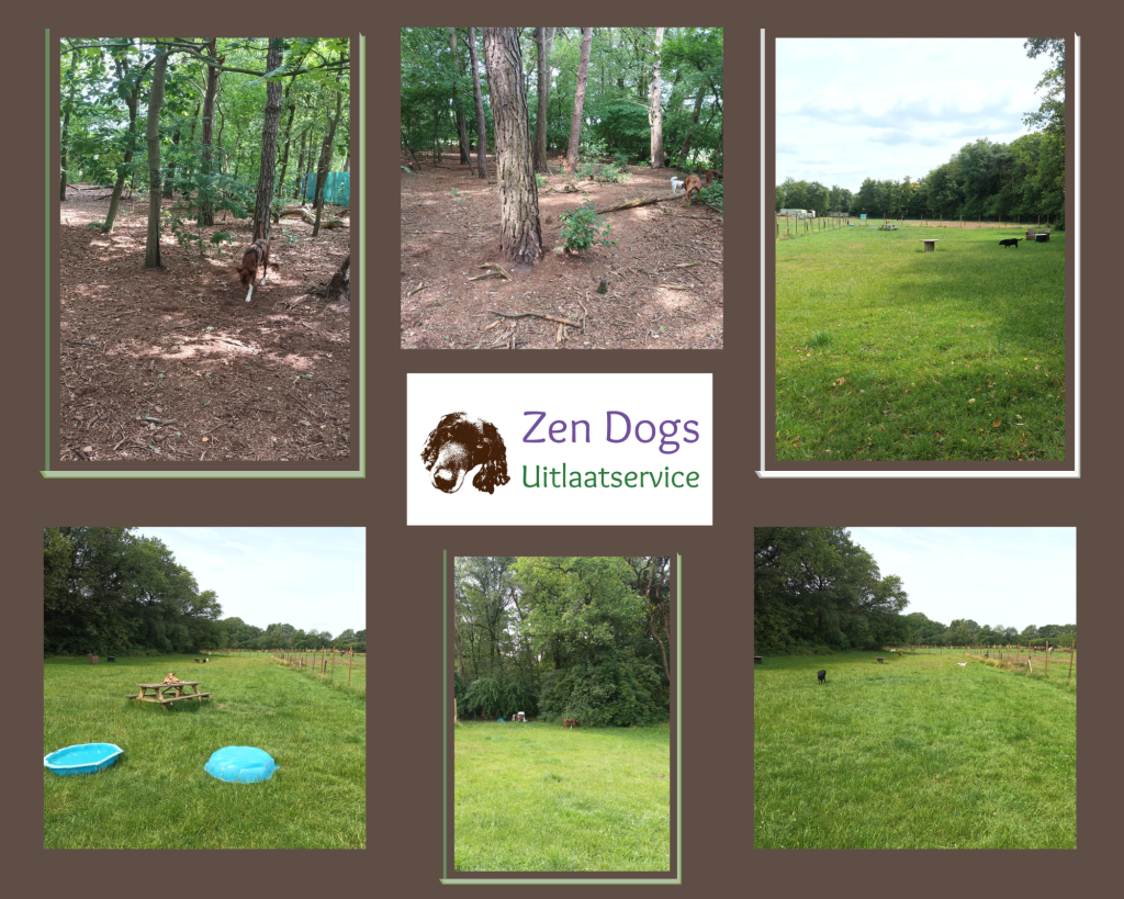 werkwijze zendogs